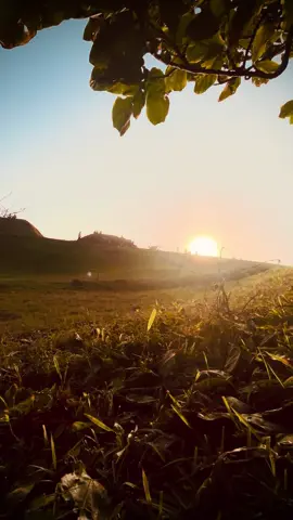 මේක ඔයාට Admin ළමයෝ ❤️‍🩹! #themiii_page #background #backgroundvideo #quotes #foryou 