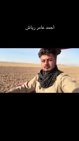 #غنم_احمد عامر رياش ليلان 