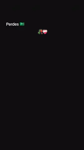 Perdes 🇸🇦 ❤️‍🩹 #saudiarabia🇸🇦 #perdes #perdesi #saudia #saudiarabia🇸🇦 