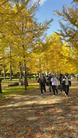 Các ca sĩ đường phố Việt Nam đã chuyển sang ca hát cho quốc tế rồi😆 Hữu duyên gặp các b tại tendo😆 #casiduongpho #yamagata #tendou #xuhuongtiktok 