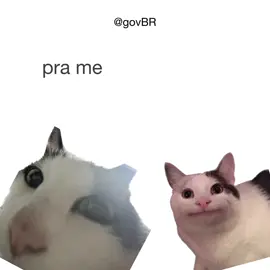 Olha aí, GovMores 💚💛🇧🇷, pra conquistar a gata ou o gato não tem mistério: basta defender justiça social e reconhecer a importância das políticas públicas, sabe? 🫶🏼 É pedir muito? Fica do lado do povo brasileiro que vai dar bom! 🇧🇷 📲 Digital/PR