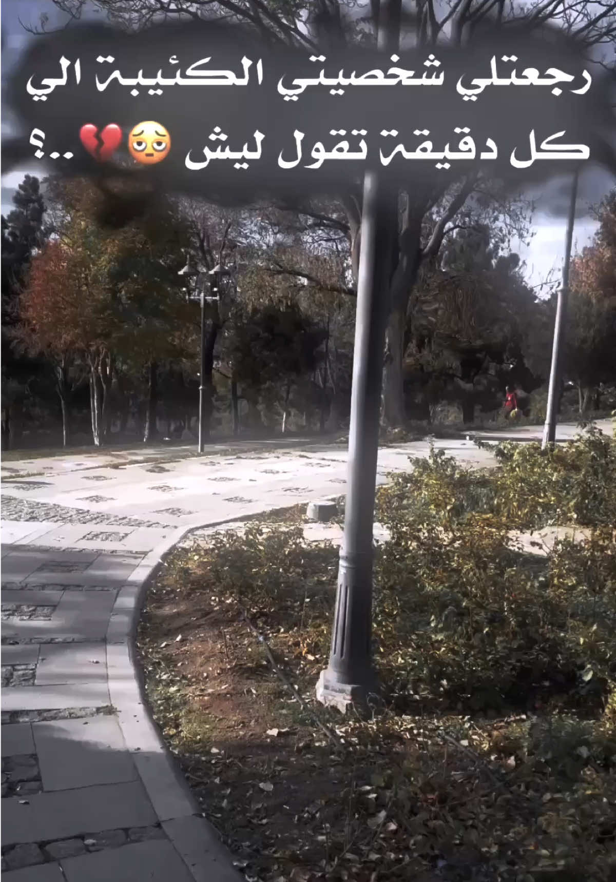 ليـ𝓦𝓱𝔂ــش😔..؟#تفاعلكم😍💔 #سلكوووو🌚🖤 #فيديو_ستار🚸🔥 #تصميم_فيديوهات🎶🎤🎬 #مجرد________ذووووووق🎶🎵💞 