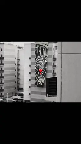 #fyp #viral #ittihad 