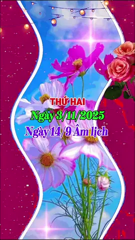 Chào Ngày Mới #ngaymoivuive 