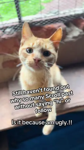 We are worth your follow or a donation #fyp #helpmeplease 