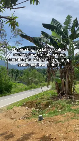 Aok kn #fyp #storydayak #dayakkalimantan #dayakviral 