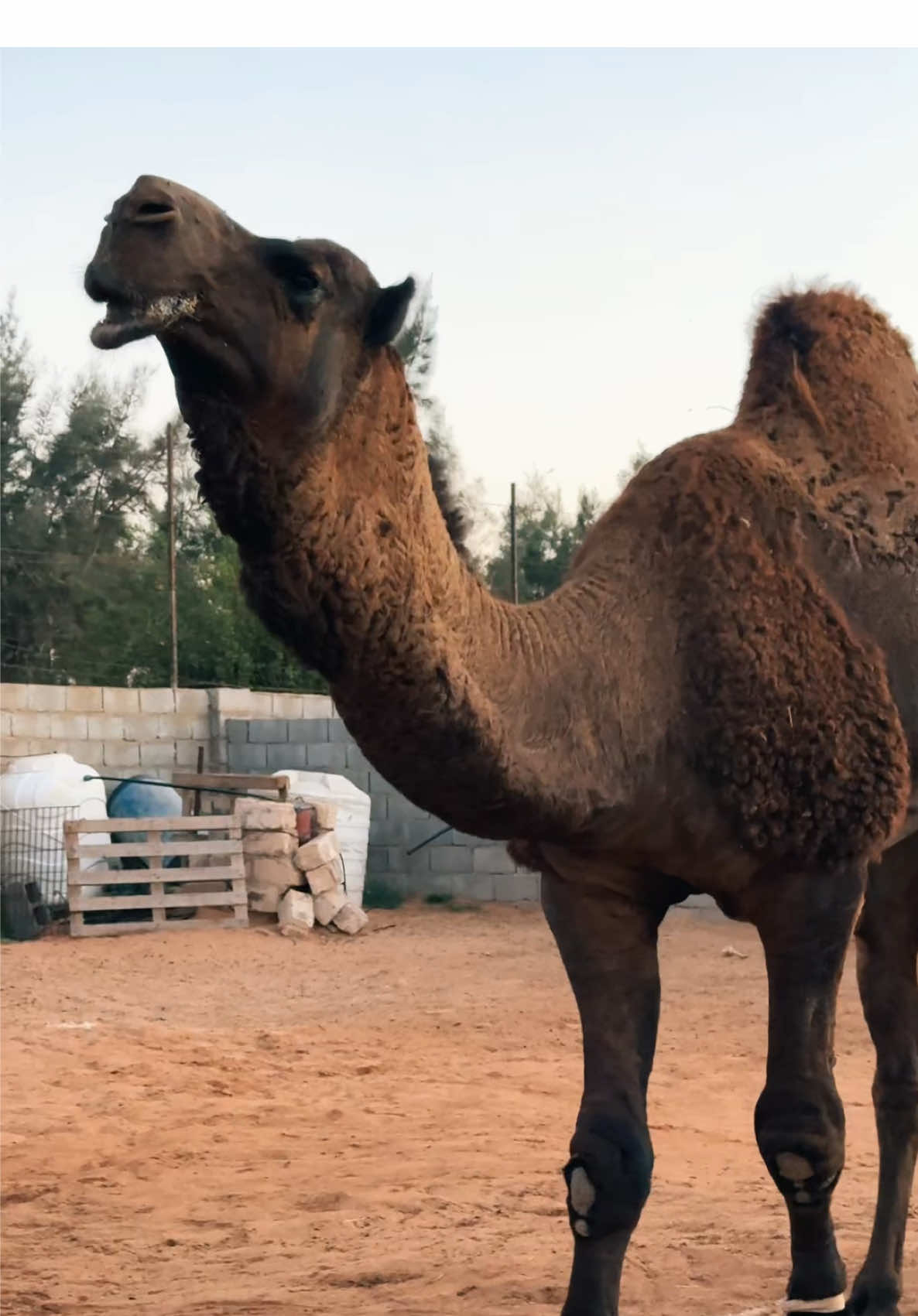 #مشاءالله_تبارك_الله_اذكروالله 