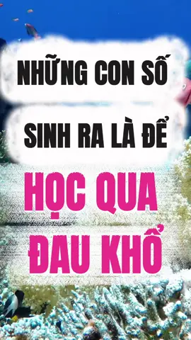 Những con số sinh ra là để học qua đau khổ #TikTokAwardsVN #thansohoc #tamlinh #chualanh #tamthuc 