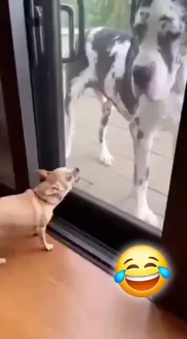 #ရီမောပျော်ရွှင်နိုင်ကြပါစေ😅😂🤣🥰 