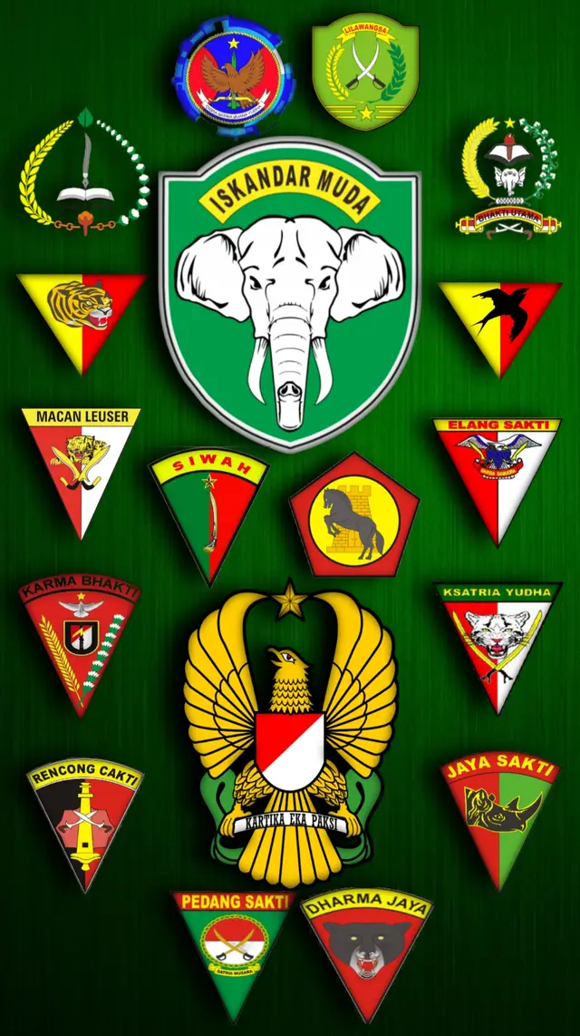 #tniad #kodamiskandarmuda #kodammandalatrikora #tniindonesia🇮🇩 