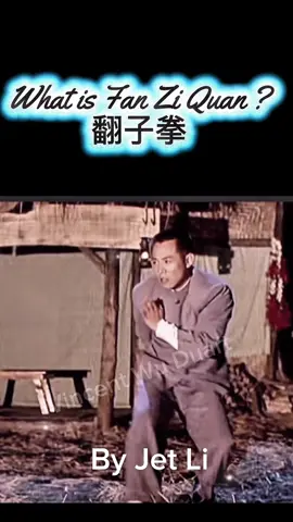 Fan Zi Quan (翻子拳), or “Tumbling Fist,” is an ancient Chinese martial art from northern China. It’s known for its lightning-fast speed and continuous, fluid movements, where the arms flip and rotate nonstop—hence the name. The techniques combine rapid strikes, body twists, and explosive changes of direction, creating the impression of a whirlwind. This style emphasizes speed over brute strength, developing sharp reflexes, precision, and agility. Often paired with Pigua Zhang, it forms a balanced system that blends Fan Zi Quan’s lightness with Pigua’s powerful swinging energy. #warrior #martialarts #shaolin #UFC   #jetli                               