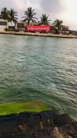 #اكسبلورexplore_o #creatorsearchinsights #تصويري 