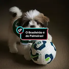 O Brasileirão é nosso! Vai porcão! Segue meu perfil gente! Vamos chegar aos 5k. ##palmeiras##futebolbrasileiro##cachorrosdotiktok##cachorrosfofos