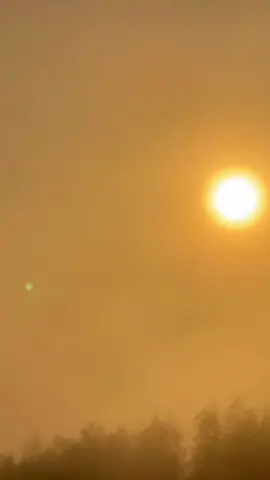 大崙山🔥燒雲 #夕陽 #雲海  #寵物#推薦  #熱門 