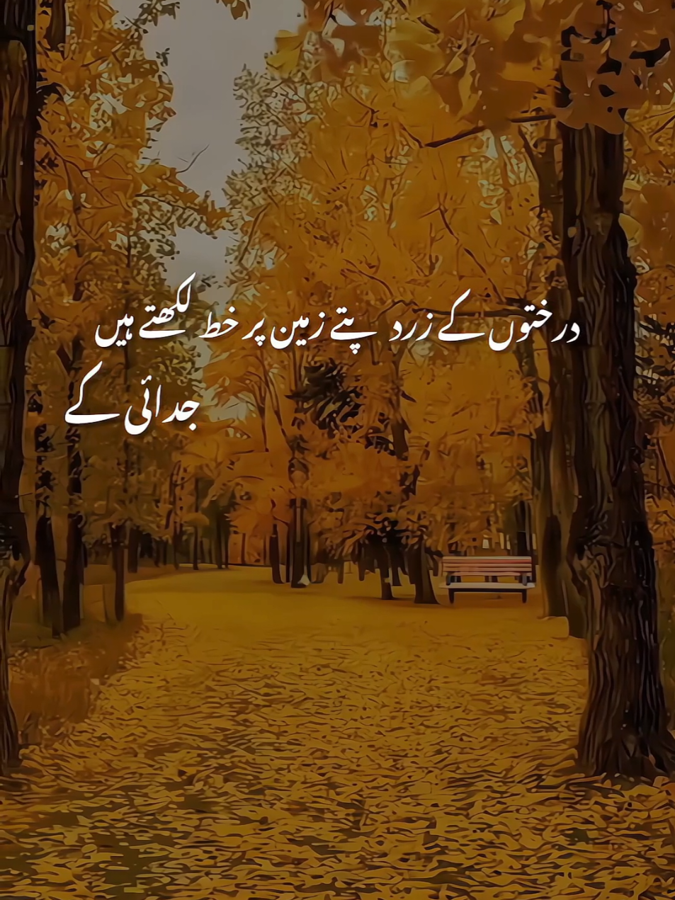 درختوں کے زرد پتے زمین پر خط لکھتے ہیں جدائی کے #viralvideos #foruyou #tarending #grow #song 