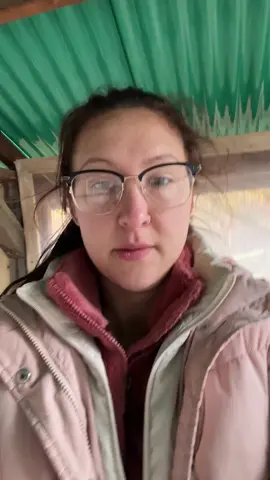 Winterization help. Anything else I should do? Deep litter? Extra insulation?    I’m in MA and we will get below zero nights. #homesteading #chickens #chickencoop #chickenhelp #chickensinwinter 