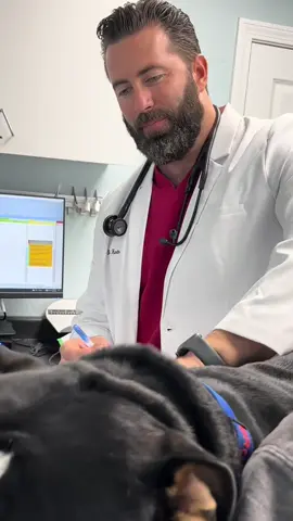 Enjoying every moment! #drtom #veterinarian #dogsoftiktok #animalwhisperer #puppiesoftiktok  @Clove Shoes 