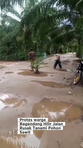 Kondisi infrastruktur jalan di Desa Bagendang Hilir, yang merupakan akses vital bagi warga ,  di ruas jalan arah ke hulu  . Sebagai simbol kekesalan terhadap lambannya penanganan dari pihak berwenang, warga setempat  menanam pohon sawit di tengah jalan yang rusak . Aksi ini diharapkan dapat menarik perhatian segera dari Pemerintah Desa dan Pemerintah Kabupaten Kotawaringin Timur. Warga mendesak agar segera diadakan Musyawarah untuk mencari solusi terbaik dan merealisasikan perbaikan jalan. #kalteng #pyf #bagendang