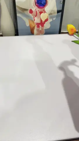 Xịt thơm phòng hương nước hoa, lavender... của nhà Funu #xitthomphong #xitthomfunu #xitthomphongfunu #thanhhoai22003 #xuhuong #trending 