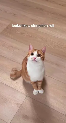 Actually a family of cinnamon rolls 😇 #marktuan #cinnamonroll 