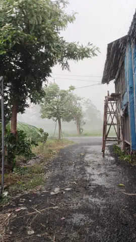 Nganjuk hujan + angin 2 November #viral #nganjuk24jam #nganjukkotaangin #kertosono #nganjuk_jawa_timur 