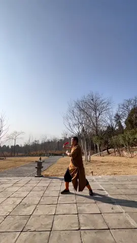 中国功夫十八般武艺每天更新 #martialarts #JackieChan #Chinese Kung Fu#kungfu