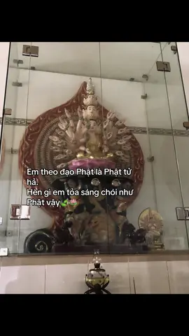 #phatphapnhiemmau #nammoadidaphat #chuakhanhlamdatset 