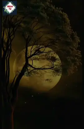 Beautiful Dua❤❤ #foreyoupage #foreyou #viral_video #tik_tok #deen 