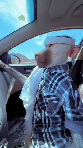 #هههههههههههههههههههههههههههههههههههههه 