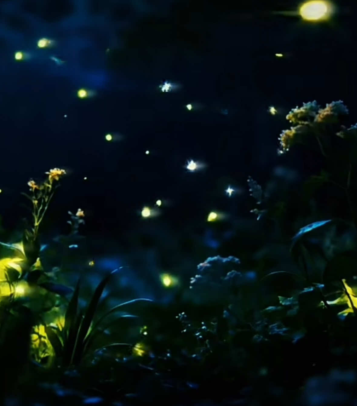 “Những cô gái lớn lên trong những gia đình không hạnh phúc thường mang nỗi lo sợ âm thầm rằng lịch sử sẽ lặp lại. Rằng mình sẽ yêu nhầm một người giống hệt cha hoặc dần dà biến thành mẹ.” Trích: Sau khi ta lớn, những nỗi đau có bé lại không? #fyp #xh #binhyen #cuocsong #tamtrang 