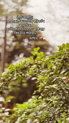 Ameen..🥹🤲🏻#viral #foryoupage #emotional #islamic_caption #viralvideo #fyyyyyyyyyyyyyyyy 