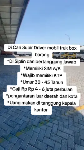 di cari driver supir mobil truk box antar barang #trukbox  #drivermuda  #antarbarang  #salamsatuhobby  #lewatberandafyp 