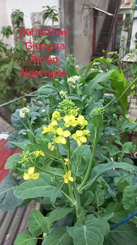 #mến chúc gia đình tiktok Ấm áp yêu thương đong đầy hạnh phúc #❤🥰❤🥰❤🥰❤️💝🌷💟♻️💚🌲♻️❤️💖 #nhachaymoingay #xuhuongtiktok #Master2023byTikTok @Nguyễn Hằng 