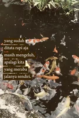 #CapCut #storywhatsapp #foryoupage 