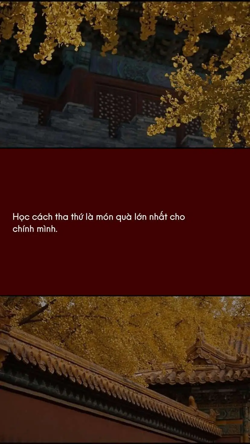 #manhan_22 #phatphapnhiemmau 