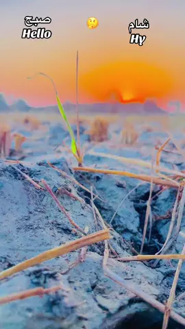 #آج پتہ چلے گا صبح ہے یا شام #پِنڈوالے #trend #pindaaly #foryoupage❤️❤️💞💞💞💞💞❣️❣️❣️🥀🥀🥀 viral video 