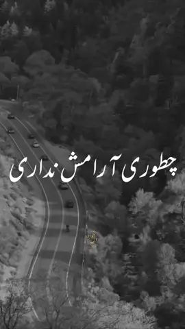 ❤️❤️❤️❤️