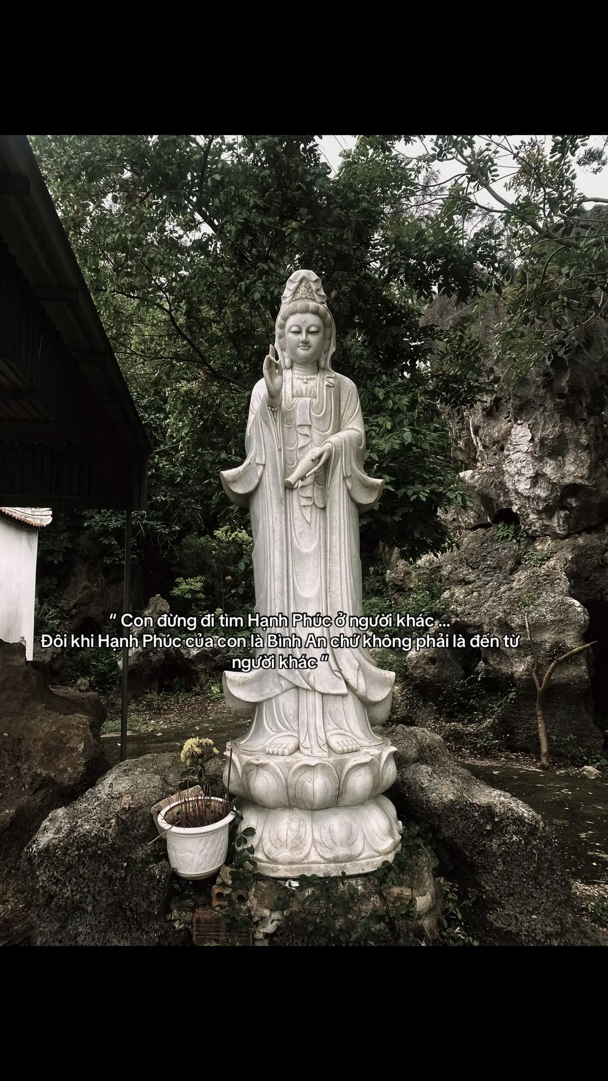 “ Con đừng đi tìm Hạnh Phúc ở người khác … Đôi khi Hạnh Phúc của con là Bình An chứ không phải là đến từ người khác “ #codoc #suy #overthing #tramcam #buon 