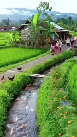 #masihadawaktu #ebietgade #pop  #lagulawas #fyp