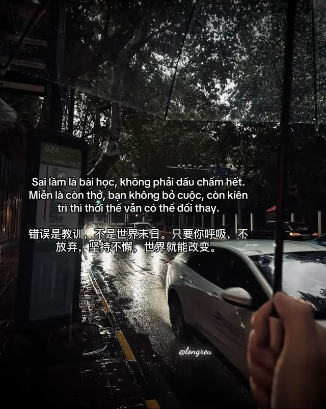 Sai lầm là bài học, không phải dấu chấm hết. Miễn là còn thở, bạn không bỏ cuộc, còn kiên trì thì thời thế vẫn có thể đổi thay. 错误是教训，不是世界末日。只要你呼吸，不放弃，坚持不懈，世界就能改变。#fyp #longreu #tamtrang #cuocsong #xuhuongtiktok 