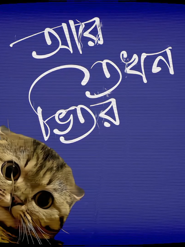 বউ....😩#LyricsLines1 #shakil_1m #fyp #trending #foryoupage 