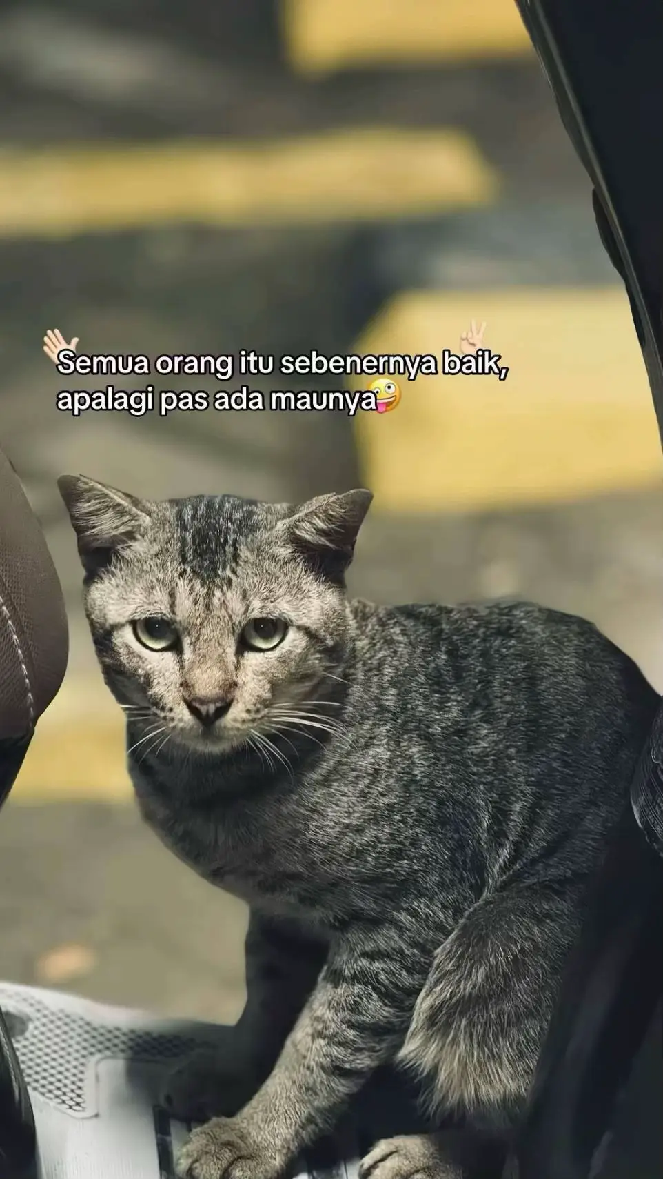 #madurapride🏴‍☠️ #prabu_wijaya