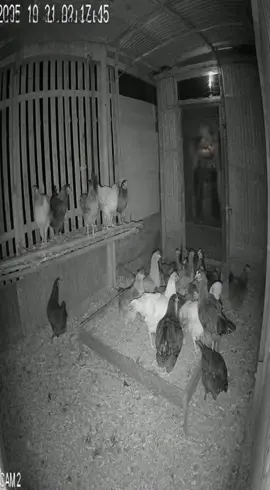 #เทรนด์วันนี้ #santelmo #fyppppppppppppppppppppppp #เรื่องนี้ต้องดู #แสงประหลาด😱😱😱😱 