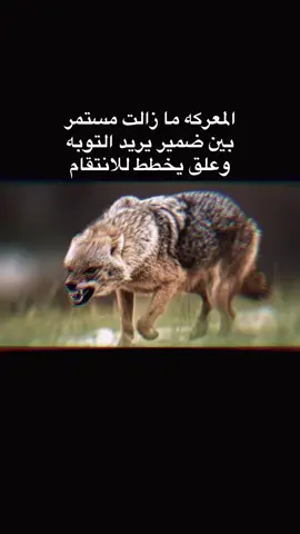 الضمير