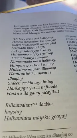 ALLE YACIZAK  @Xaaji Dirir 