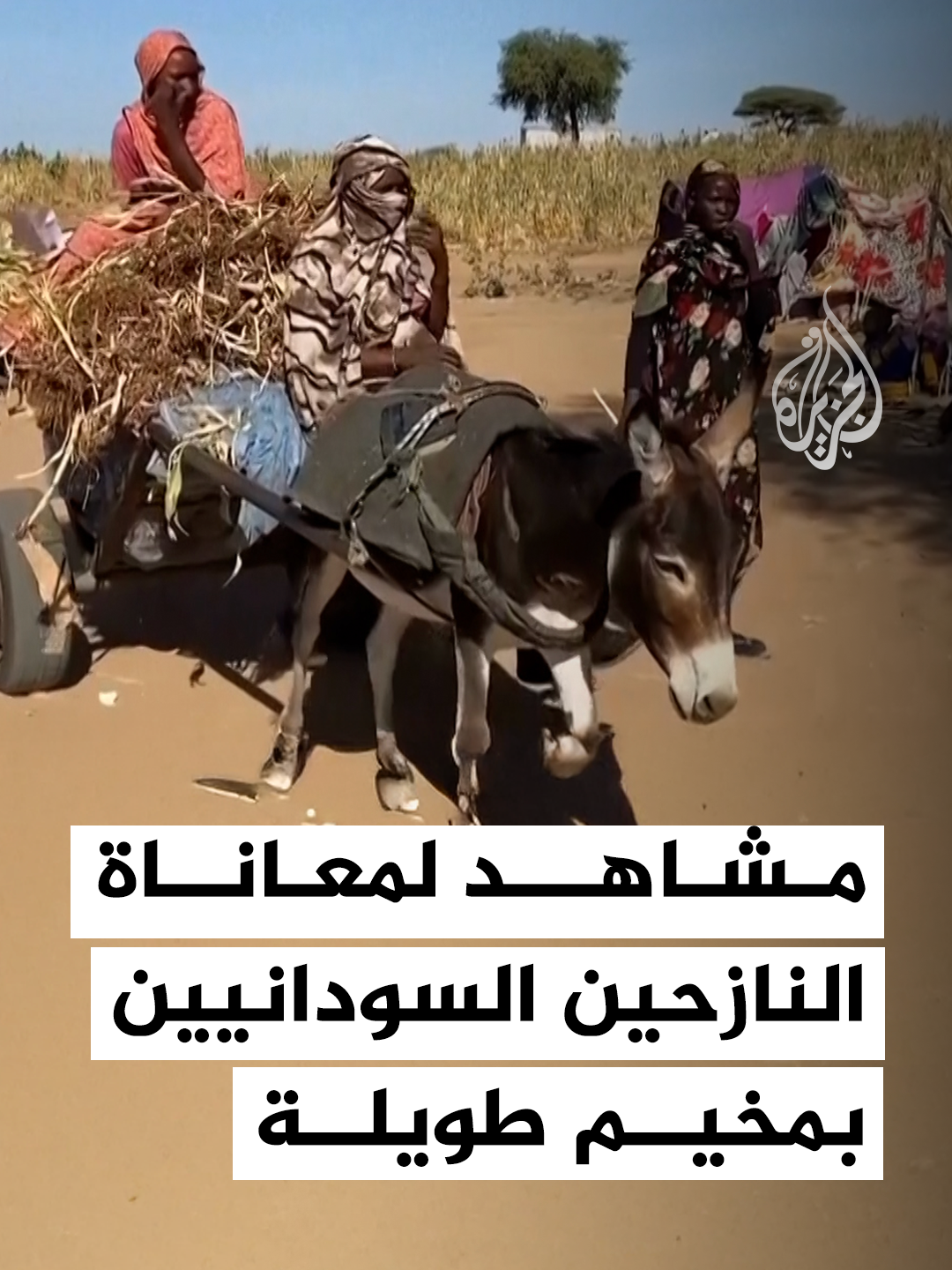 مشاهد توثق معاناة النازحين السودانيين في مخيم طويلة شمال دارفور، حيث أفادت وكالة أسوشيتد برس أن عائلات من مدينة الفاشر وصلت إلى المخيم عقب سيطرة قوات الدعم السريع على المدينة. #فيديو #السودان