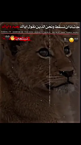 |#عبارات  #ديراوي_♕🖤  #تـصميم_ديراوي🗞🖤 