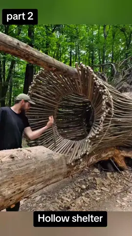 Building a warm and cozy hollow survival shelter  #bushcraft #survival #shelter #wildlife #camping 