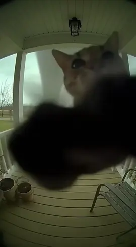 #sora #ring #doorbell