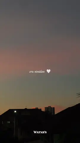 Ninaivellam neeyadi 🤍🤌🏽#wxrxn #ladyboss #fypシ゚ #sunset #foryoupage 